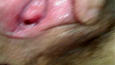 13695
